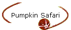 Pumpkin Safari